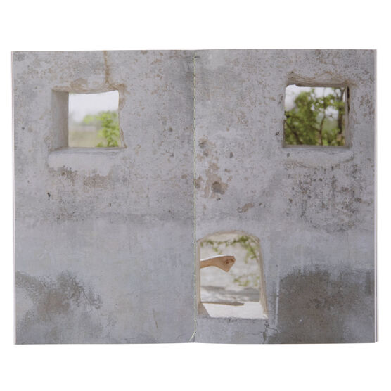 Art Now: Hylozoic/Desires exhibition book